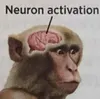 Ruchator