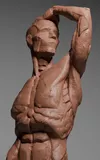 visajacek