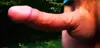 Stdfan8888