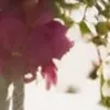 مولد الصور الإباحية بالذكاء الاصطناعي