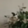 مولد الصور الإباحية بالذكاء الاصطناعي