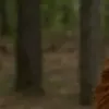 مولد الصور الإباحية بالذكاء الاصطناعي