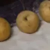 AI色情照片生成器