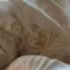 générateur de photos porno IA
