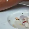 AI 포르노 사진 생성기