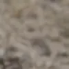 Penghasil gambar lucah AI