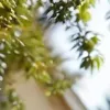 مولد الصور الإباحية بالذكاء الاصطناعي