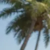 مولد الصور الإباحية بالذكاء الاصطناعي