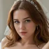 مولد الصور الإباحية بالذكاء الاصطناعي