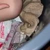 Penghasil gambar lucah AI