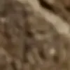 generatore di foto porno IA