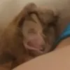 AI porn pic generator