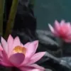 AI色情照片生成器