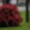 generatore di foto porno IA