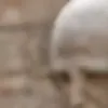 AI 포르노 사진 생성기