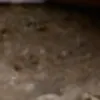 مولد الصور الإباحية بالذكاء الاصطناعي
