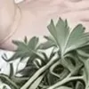 AI色情照片生成器