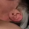 AI色情照片生成器