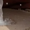 مولد الصور الإباحية بالذكاء الاصطناعي