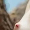 AI 포르노 사진 생성기