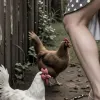 генератор порно-изображений на ИИ