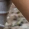 yapay zekâ porno foto üretici