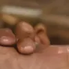 générateur de photos porno IA