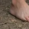 एआई पोर्न इमेज जेनरेटर