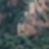 Penghasil gambar lucah AI