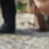 generatore di foto porno IA