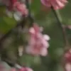 AIポルノ写真ジェネレーター