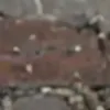 AI 포르노 사진 생성기