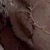 générateur de photos porno IA