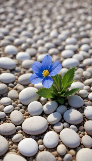 5000000010.127, A blue flower growing on a beach surrounded by white pebbles, with the sea in the background. The photo was taken in high-resolution 8K UHD. Macro photography is used to capture the details of the flowers and rocks. The rich colors enhance the visual effect. The bright sunlight filters through the leaves onto the smooth rocks, creating a peaceful atmosphere.