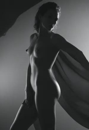 El cuerpo cubierto de seda del fotógrafo se envolvió sobre la forma desnuda de la mujer, agregando un elemento misterioso a la imagen