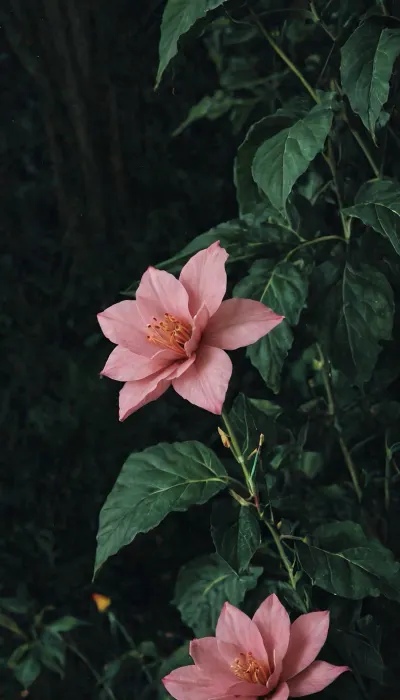 Night, dark, spotlight, closeup, Pink fantasy, fantasy land, pink foliage, pink flowers, photograph, girl, xdlx, style, very, focused, flash, photo, cn1990s, <lora:xdlx_style:2>, <lora:sdxl_darkflash_v6-000060:2>, <lora:cn1990s_v1.0:2>