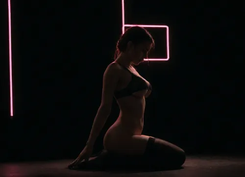 ((photorealistic)), (neon lights:1.8), (solo girl:1.6), (silhouette:1.8), ultra detailed face, (young woman), (youthful face), (petite), short, slim, (perky big breasts), (black lacy bra and black transparent stockings), underboob, shaved pubic hair, tight butt, (aroused), (parted lips), looking away, closed legs, sitting, shaved tight pussy, small pussy, 3/4 side view, High, Resolution, More, Details, 8K, zavy-slhtt, black, monochrome, silhouette, sun, sunset, orange, <lora:zavy-slhtt-sdxl:1.9>, <lora:Sunset:1.9>, <lora:dark:.8>